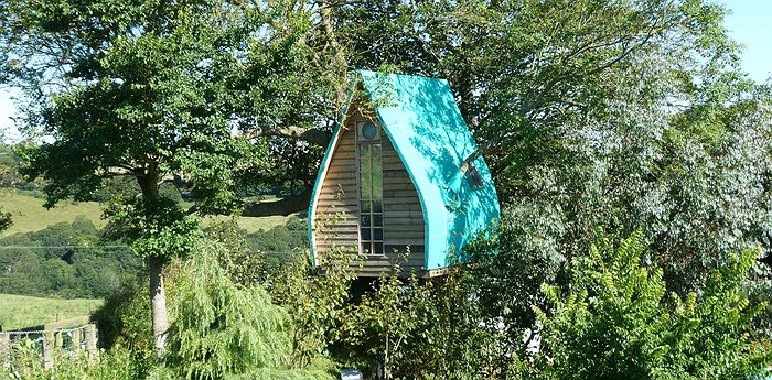 Tree Sparrow House - A Handcrafted Treehome In England