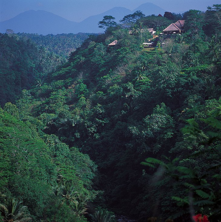 Alila Ubud Hotel at the Ayung River