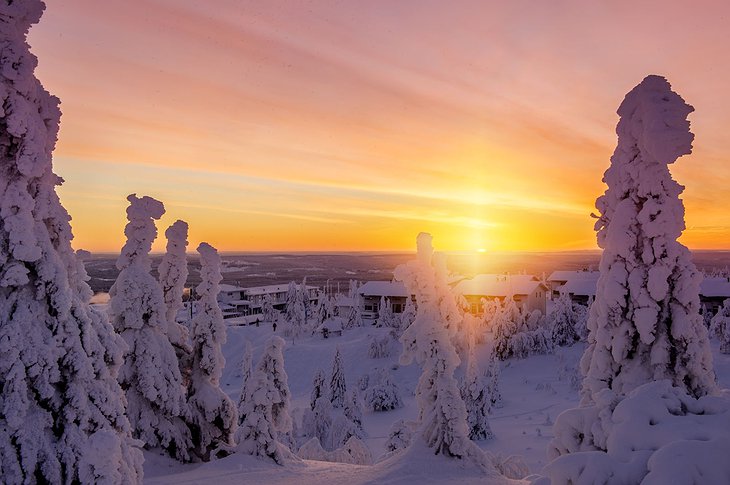 Sunrise and snowy trees at Hotel Iso Syöte