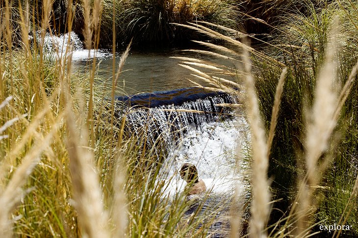 Chilean waterfall