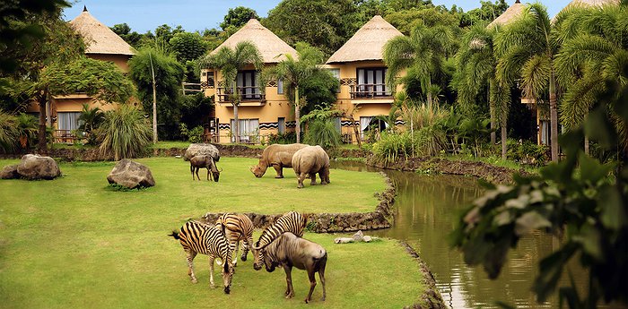 Animal Hotels Animal Hotels