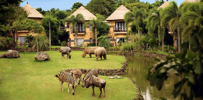 Mara River Safari Lodge Bali - Feed Wild Animals From Your Window