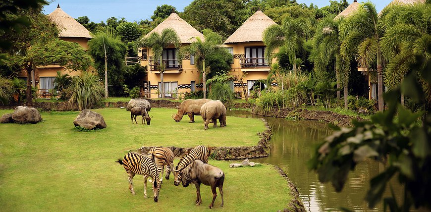 Mara River Safari Lodge Bali - Feed Wild Animals From Your Window