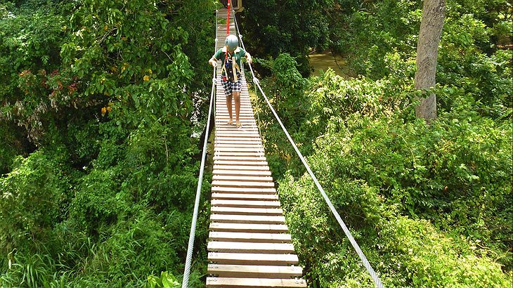 Sri Lanka Jungle Canopy Walking Tour