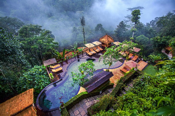 Mystical Jungle Pool