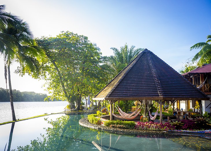 Tortuga Lodge pool hammock