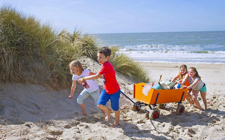 Sandy Beach Of The Zeeland Peninsula