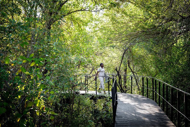 Singita Sweni Lodge bridge