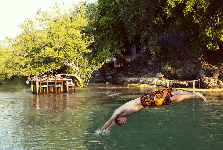 Swimming in the mangroves