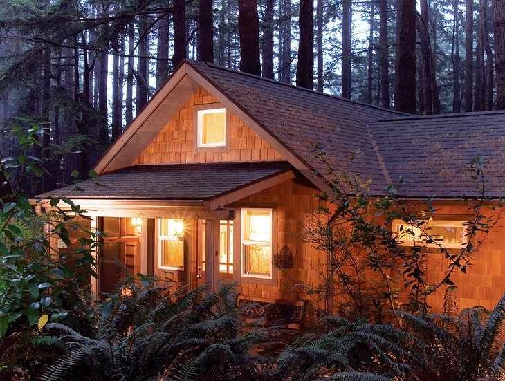 WildSpring Guest Habitat cabin at night