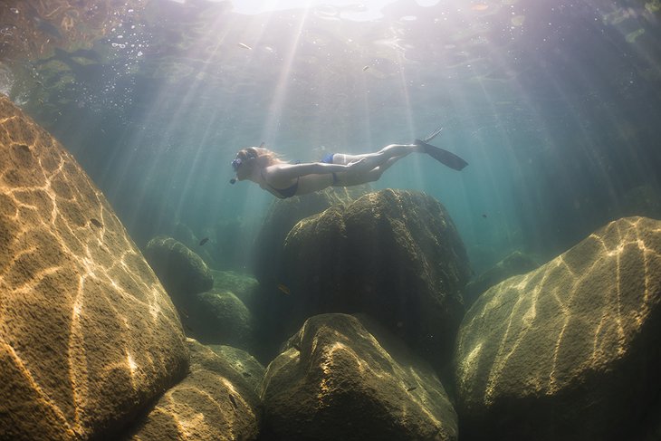 Mumbo Island snorkeling in Lake Malawi