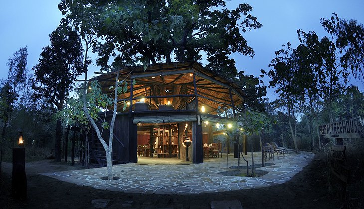 Tree House Hideaway