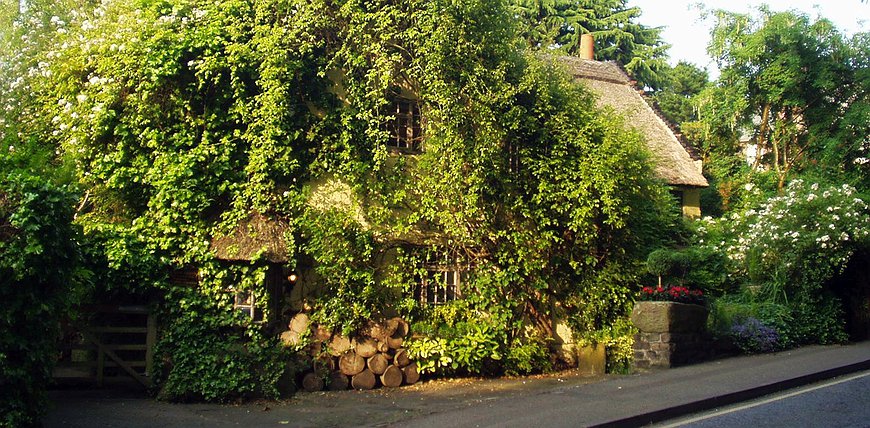 Wizards Thatch - Harry Potter's Charming Fairytale Cottage