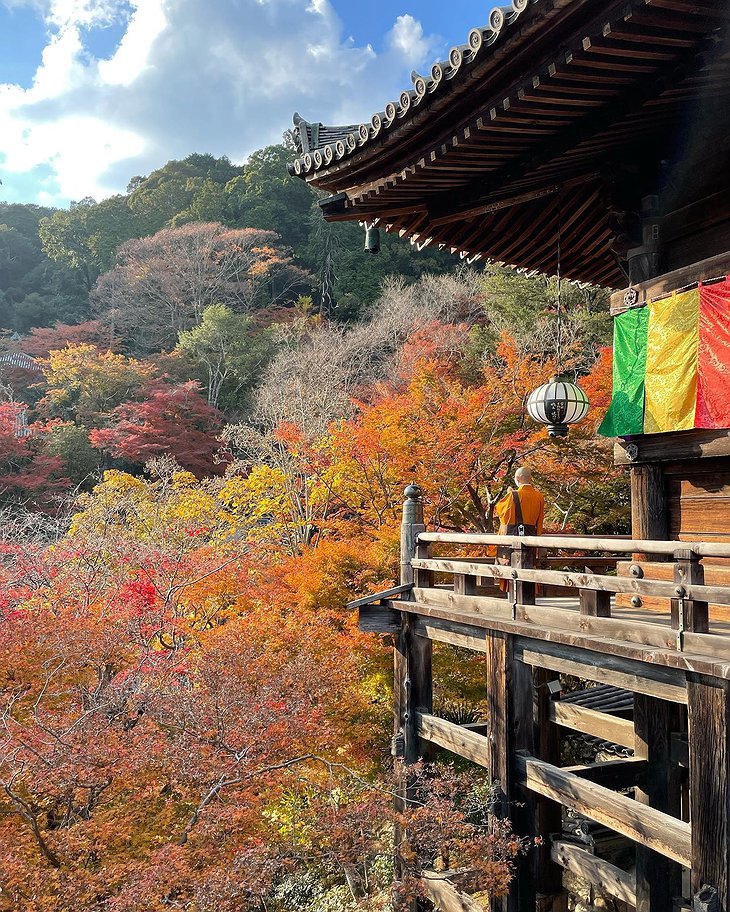 Koyasan Saizen-in Temple Balcony Colorful Forest View