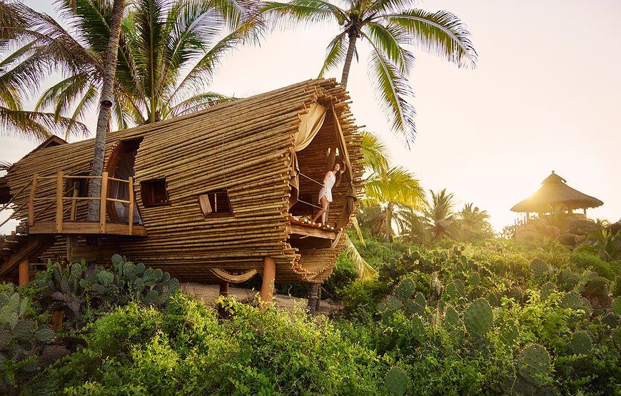 Playa Viva - Sleep in a Treehouse, Release Baby Turtles, and Eat From the Farm