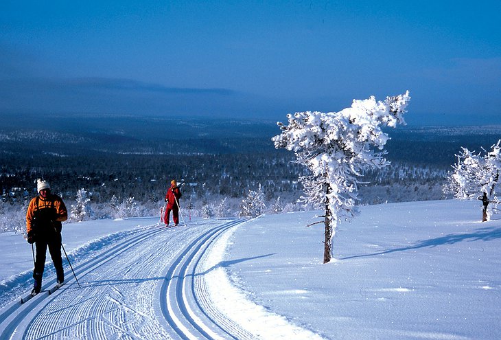 Snowshoeing in Lapland
