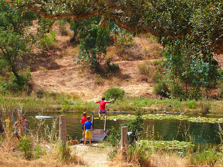 Kids jumping to the pool