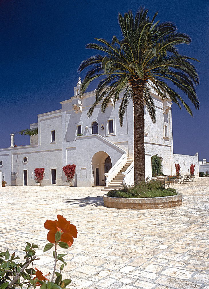 Palm tree and Masseria San Domenico