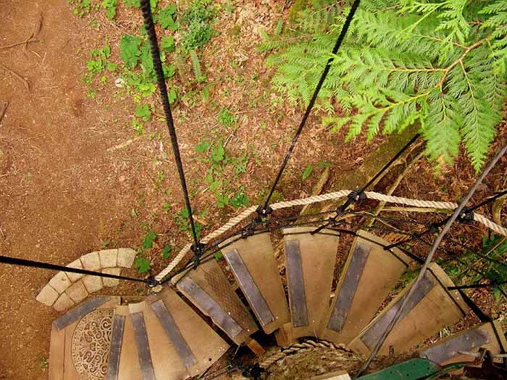 Free Spirit Spheres wooden stairs