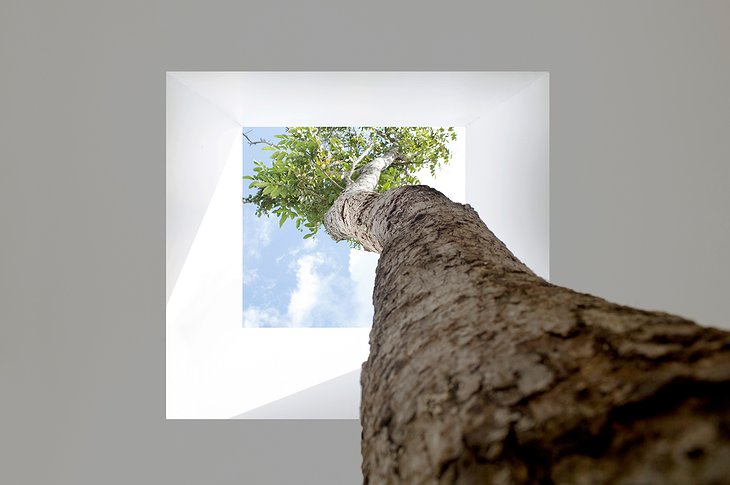 The Library Hotel Secret Pool Villa Tree Through The Roof