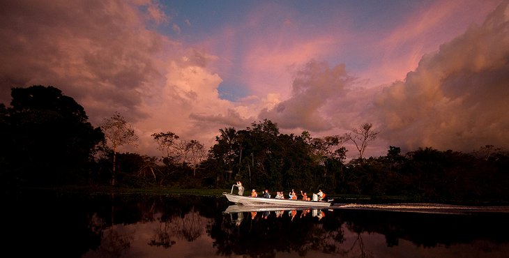 Amazon River Wildlife Excursion On A Small Boat