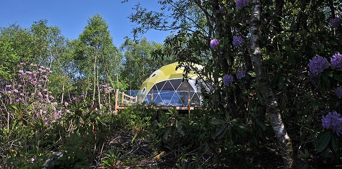 Ecopod Boutique Retreat - Funky Pods In A Birch Woodland Setting