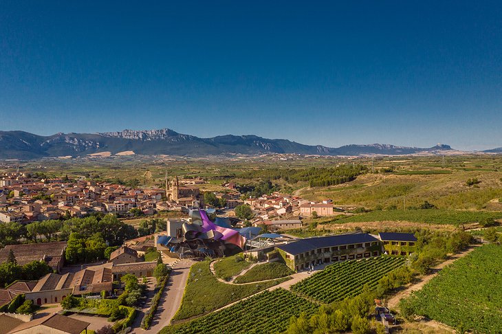 Hotel Marques De Riscal Aerial