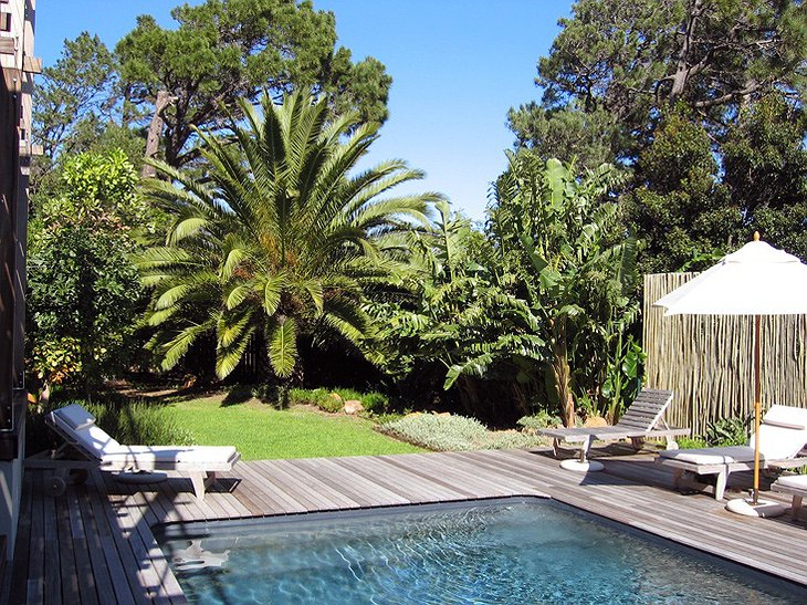 Pool and palms