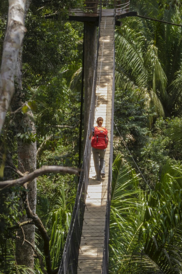 Treehouse Lodge Iquitos suspended bridge