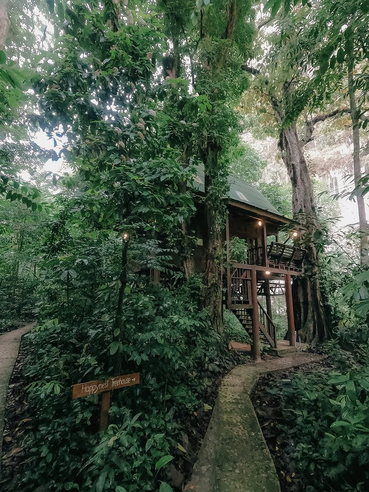 Our Jungle House Resort Happynest Treehouse