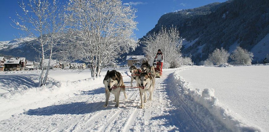 Hüttenhotel Husky Lodge - Huskies And Private Saunas In Switzerland