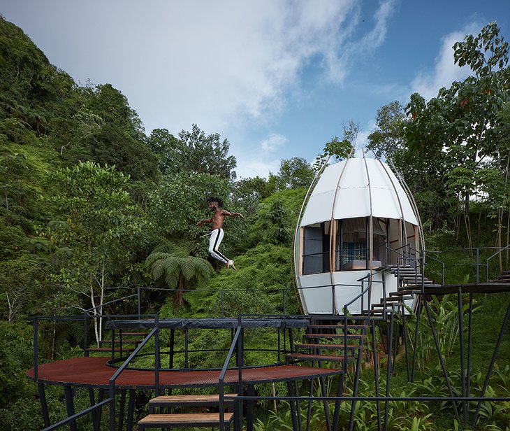 The Coco Jungle Trampoline