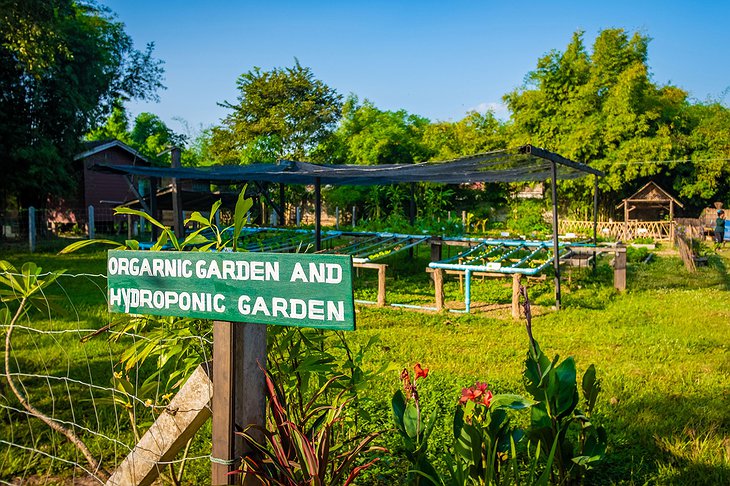 The River Resort Champasak Organic And Hydroponic Gardens