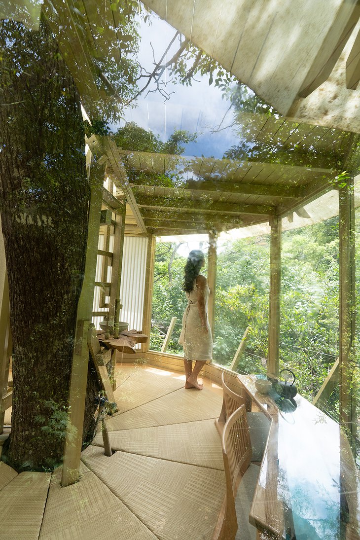 Treeful Treehouse Sustainable Resort Trophy Treehouse Interior