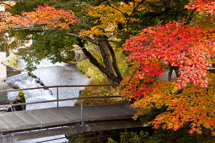 Autumn colors in Japan