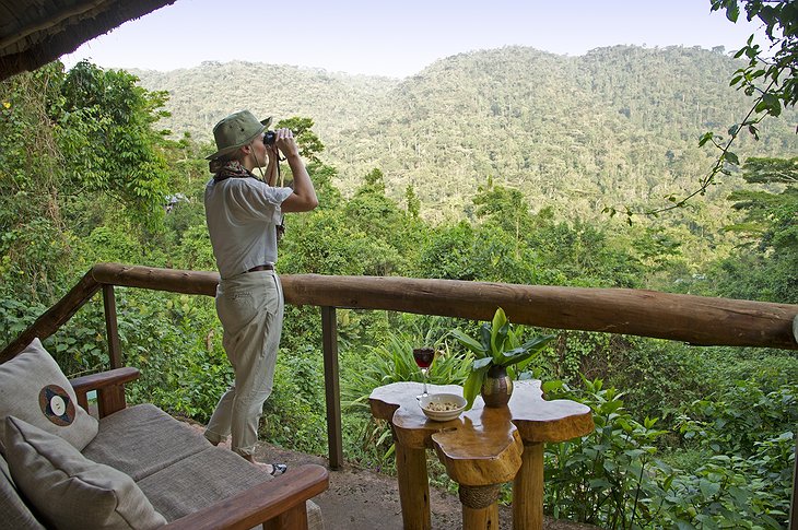 Sanctuary Gorilla Forest Camp terrace views on the jungle