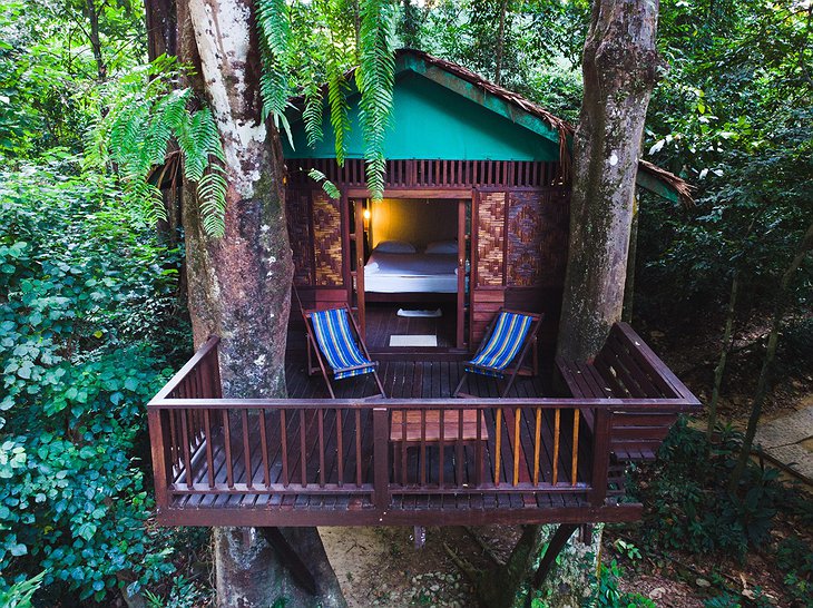 Our Jungle House Resort Romantic Treehouse With A Veranda