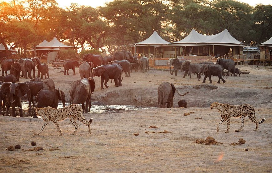 Somalisa Camp - Canvas, Copper Bathtubs, and Thousands of Elephants